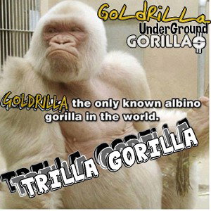 Trilla Gorilla 