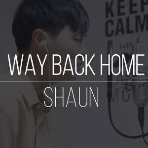 [Russian cover] SHAUN- Way Back Home 