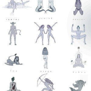 What's Your Number What's Your Sign-Dverse