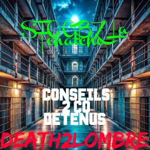 STOOBZ - Conseil 2Co Détenus 