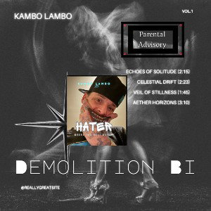 Demolition Bi