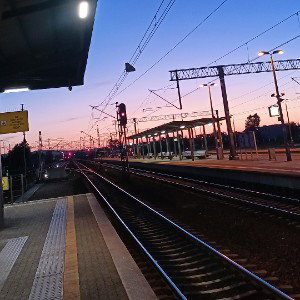  wodzu na własnym bicie