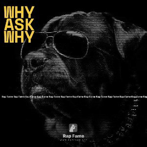 Why ask why