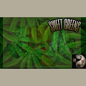 🍃🍅Sweet greens🍅🍃