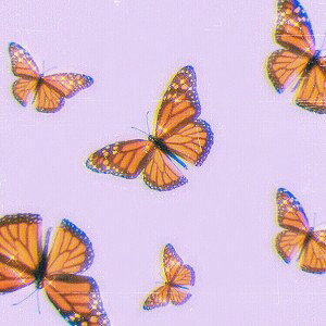 TrapTalk (16:38:07)