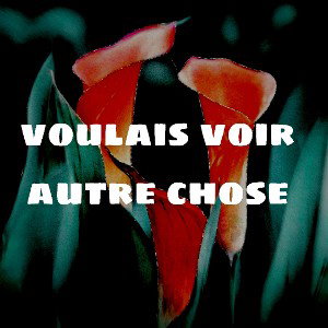 romso  - voulais voir autre chose /maquette 