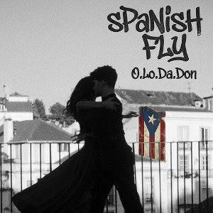 sPaNiSh FLY