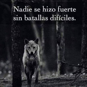 Yo soy sinsero