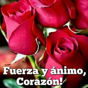 dónde estás corazon