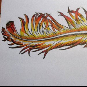 Feathers In Flight