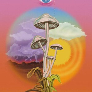 Gliding thru my Environment