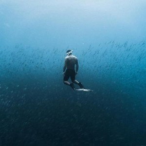 swim 