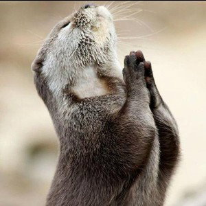 Brothers thanking God