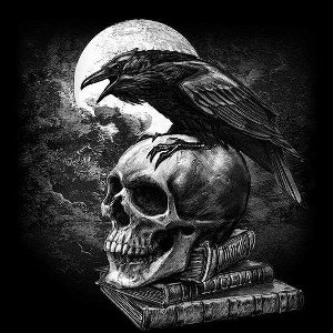  The Raven