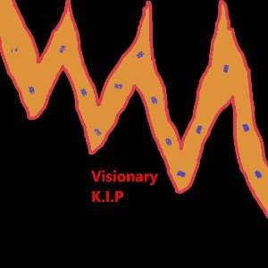 Visionary