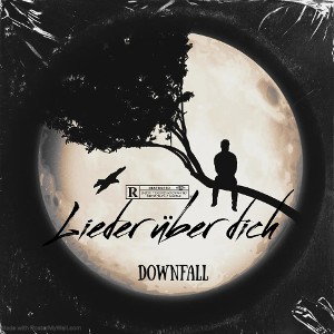𝕯𝖔𝖜𝖓𝕱𝖆𝖑𝖑 - Lieder (wieder) über dich 