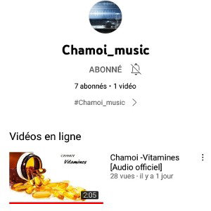 chamoi_music 