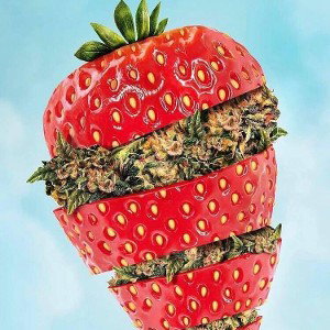 Kushberry (re-recorded)
