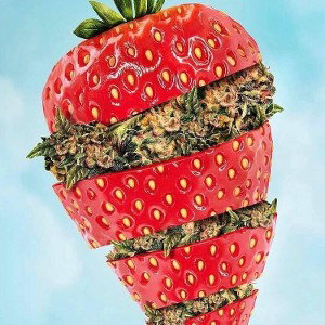 Kushberries