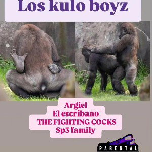 kuloboyz