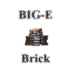 Bricks