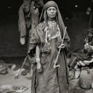 لحيات_مسمومة