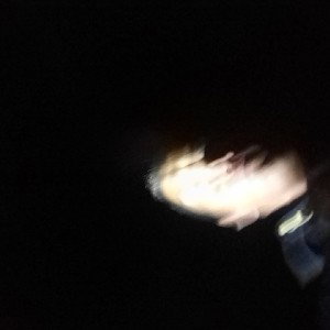 iggt