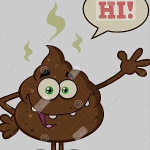 Poo