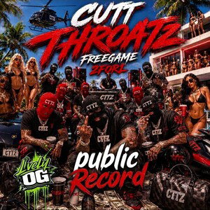 Public Record 