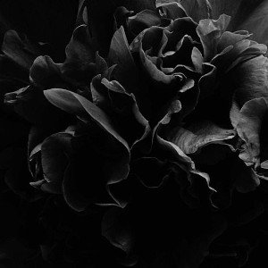 flover