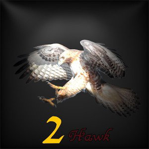 🦅2Hawk - 💣Done With Yo Fiasco ( Deadshot Diss )