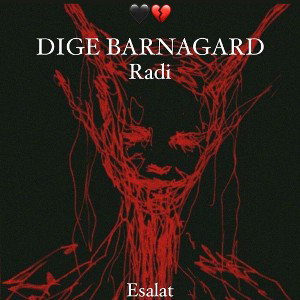 Dige Barnagard