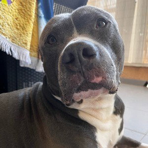 cielo corazón prueba 2