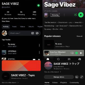 SAGE VIBEZ - reflex 