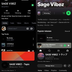 SAGE VIBEZ - fly away