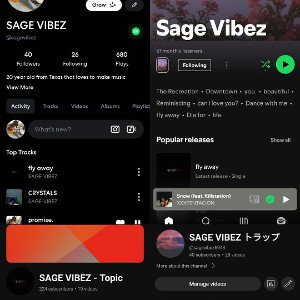 SAGE VIBEZ - Vice (ft. Justerious)