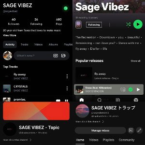 SAGE VIBEZ - bizon (snippet) 