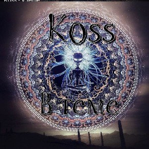 Koss - В теме