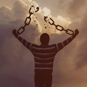 LIBRE🕊️- EstiX