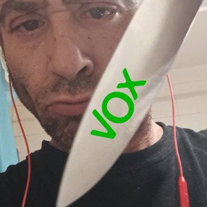 fachavox