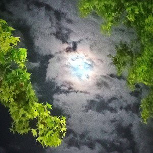 Friend in the sky