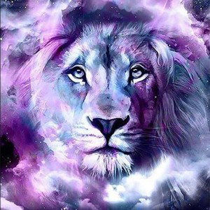 👑👑✨WinnR✨👑👑