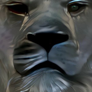 👑Shinny lion👑