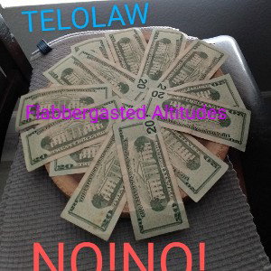 NO! NO! FLABBERGASTED ALTITUDES TELOLAW FS