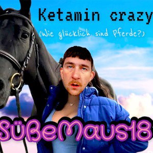 🎠Ketamin Crazy (wie glücklich sind Pferde?)