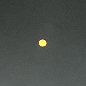Misunderstood  (16:32:34)