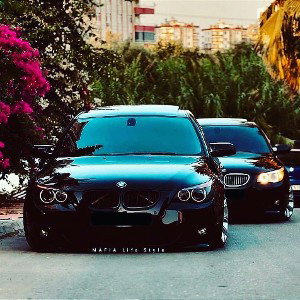 mafia 