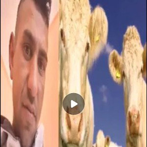 diss lu țuțunel vaka👉🤣👈