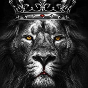 Gully_(_Leo_season)