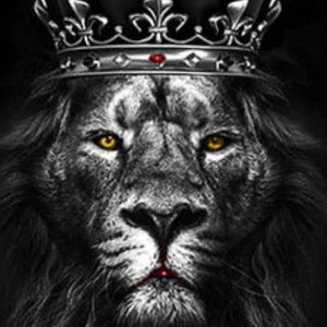 Gully_(_Leo_season)